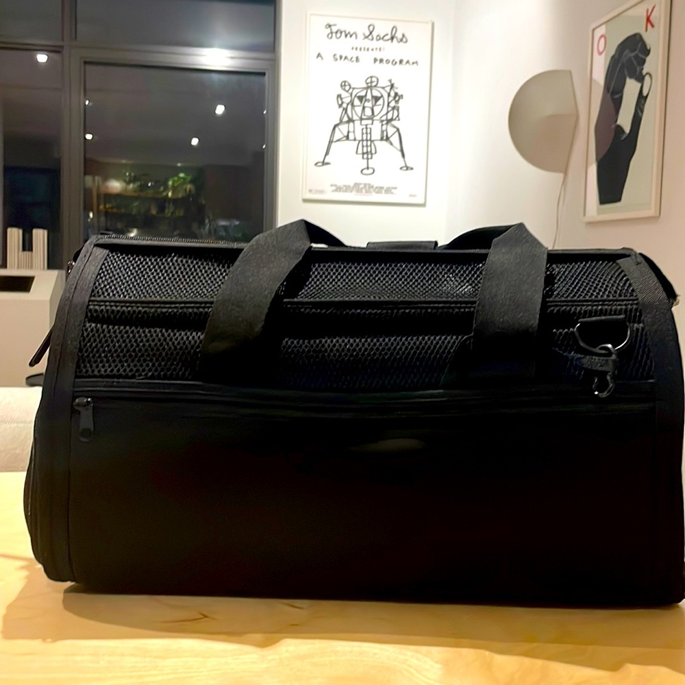 Pet travel carrier - recommended for dogs